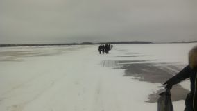 Гости Ломоносовских чтений переправляются в село Ломоносово